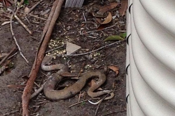 Кракен 2kr pro