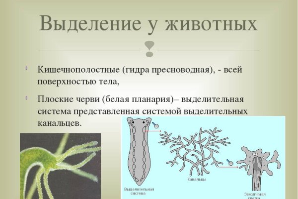 Кракен даркнет стор