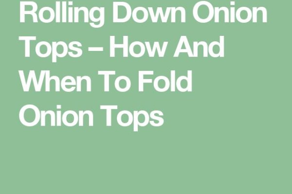 Даркнет вход